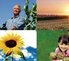 Santé et développement durable